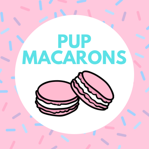 MACARONS 6 CT